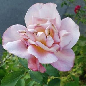 Calming Photos Taken By Me